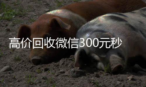 高价回收微信3024小时靠谱收微信平台0元秒结（高价24小时回收微信）